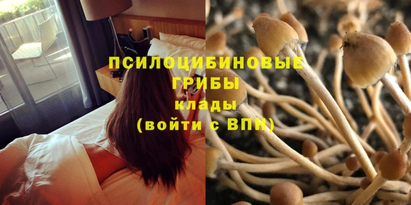 эйфоретик Семилуки