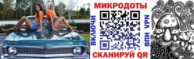 где купить наркоту Волхов Галлюциногенные грибы Psilocybe