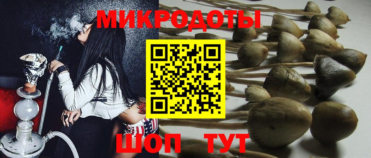Псилоцибиновые грибы Psilocybe Волхов