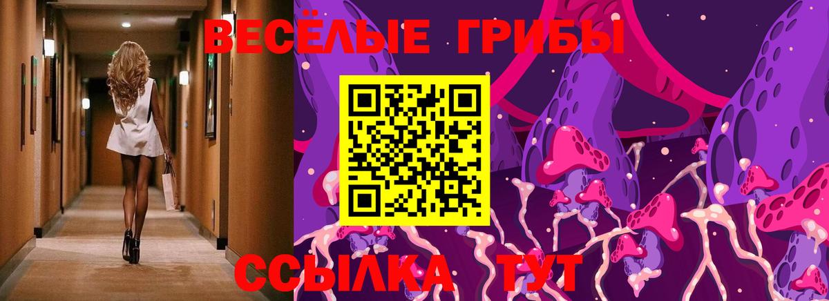 Псилоцибиновые грибы Cubensis  Вход с VPN  закладка  Волхов 